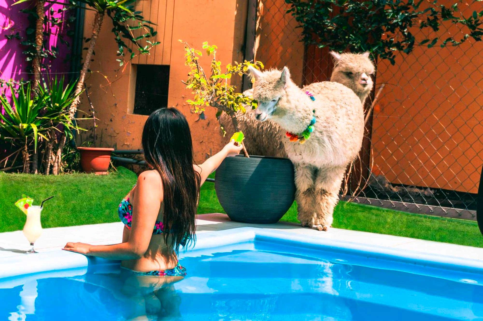 Piscina — HC Hotel Adriamo, Arequipa